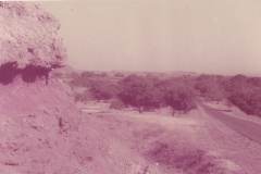 AlandiNewasaRokadaAjanta-Aurangabad-Prawas-01-10-1983-to-04-10-1983-13