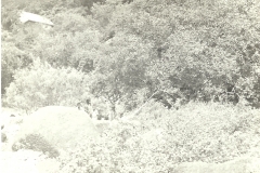 AlandiNewasaRokadaAjanta-Aurangabad-Prawas-01-10-1983-to-04-10-1983-22