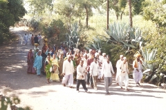 Pandharpur-Dindi-I-29