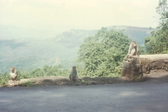 Kankaditya-Mandir-GavkhadiAdiwareGanapatipulePangare-Rajapur-101