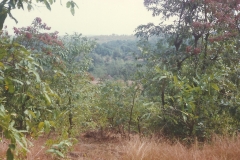 Kankaditya-Mandir-GavkhadiAdiwareGanapatipulePangare-Rajapur-110