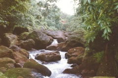 Kankaditya-Mandir-GavkhadiAdiwareGanapatipulePangare-Rajapur-32