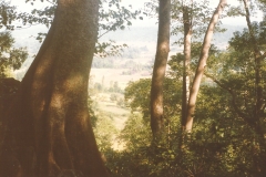 Kankaditya-Mandir-GavkhadiAdiwareGanapatipulePangare-Rajapur-84