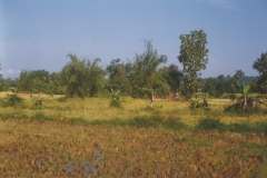 Kankaditya-Mandir-GavkhadiAdiwareGanapatipulePangare-Rajapur-85