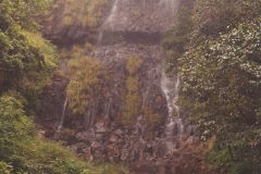 Kankaditya-Mandir-GavkhadiAdiwareGanapatipulePangare-Rajapur-86