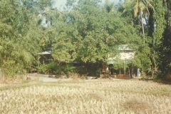 Mangaon-Yatra-13
