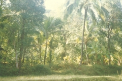 Mangaon-Yatra-15