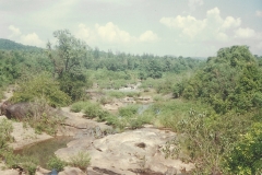 Mangaon-Yatra-19