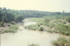 Mangaon-Yatra-20