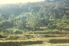 Mangaon-Yatra-22