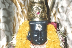 Pandharpur-Dindi-II-2