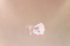 SomanathGirnarGarudeshwar-Gujarat-158