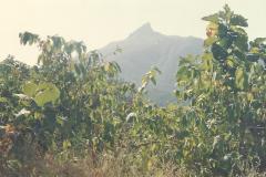 SomanathGirnarGarudeshwar-Gujarat-65